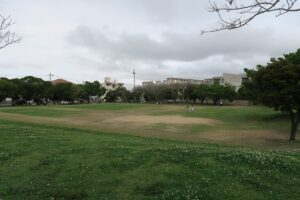 天久ちゅらまち公園の芝生広場を撮影した写真