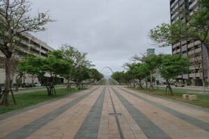 新都心公園のアプローチを撮影した写真