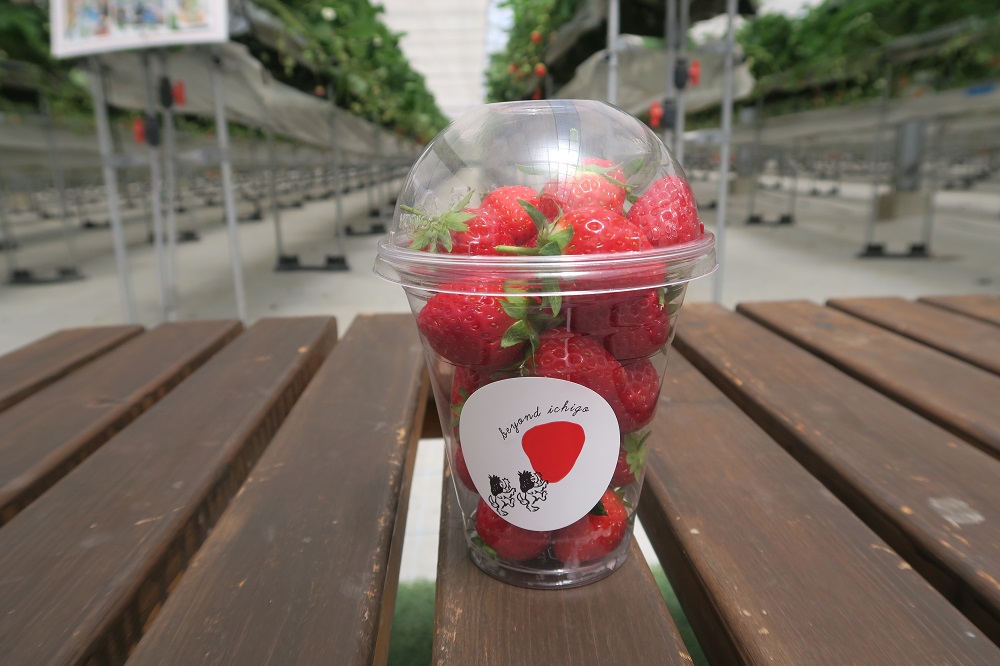 「美らイチゴ」の持ち帰り用カップを撮影した写真