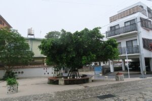 壺屋やちむん通りのポケットパークを撮影した写真