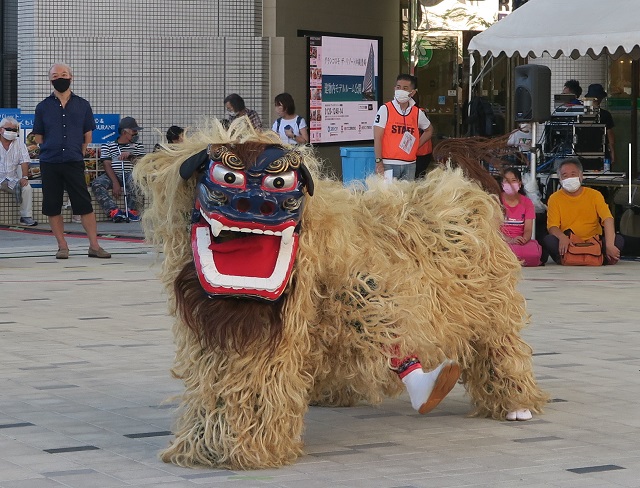 創作太鼓集団心（SHIN）の獅子舞を撮影した写真