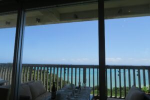 やぶさちの窓からの眺めを撮影した写真