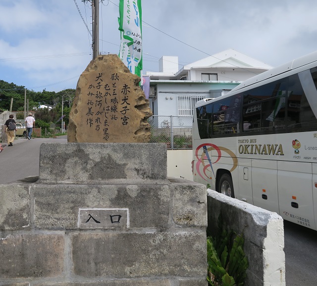 赤犬子宮の入口を撮影した写真