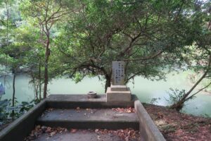 屋良ムルチを撮影した写真