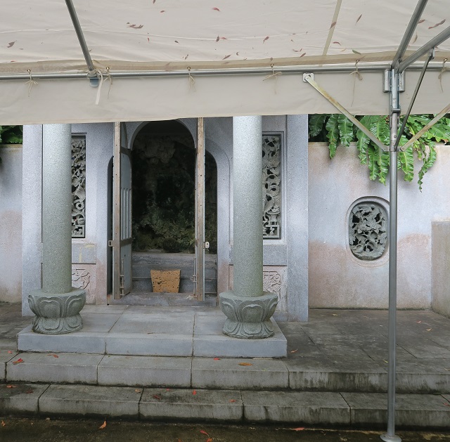 赤犬子宮を撮影した写真