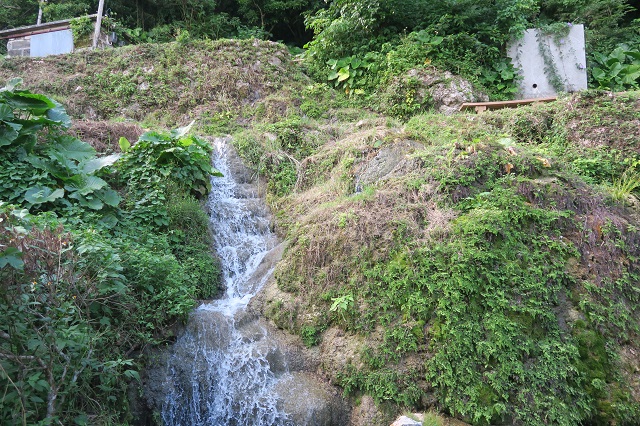垣花樋川を撮影した写真