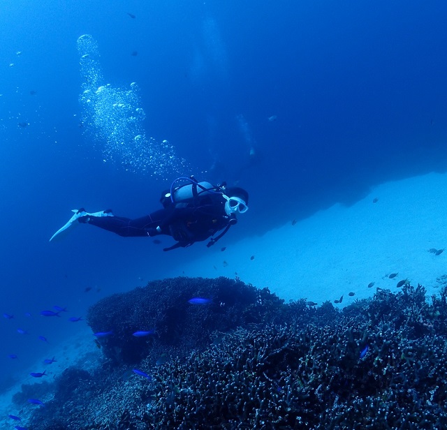 ダイビングする私を撮影した写真